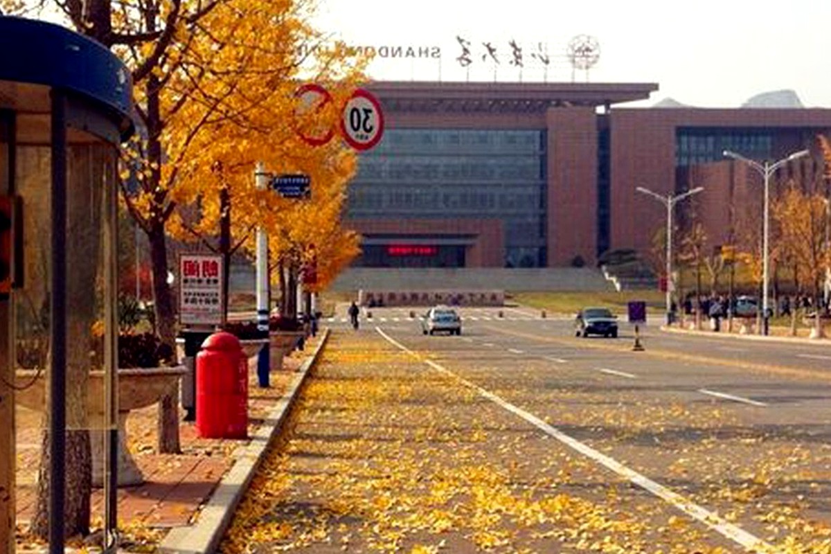 A tree-lined city street in autumn with warm leaves and public buildings in the distance.