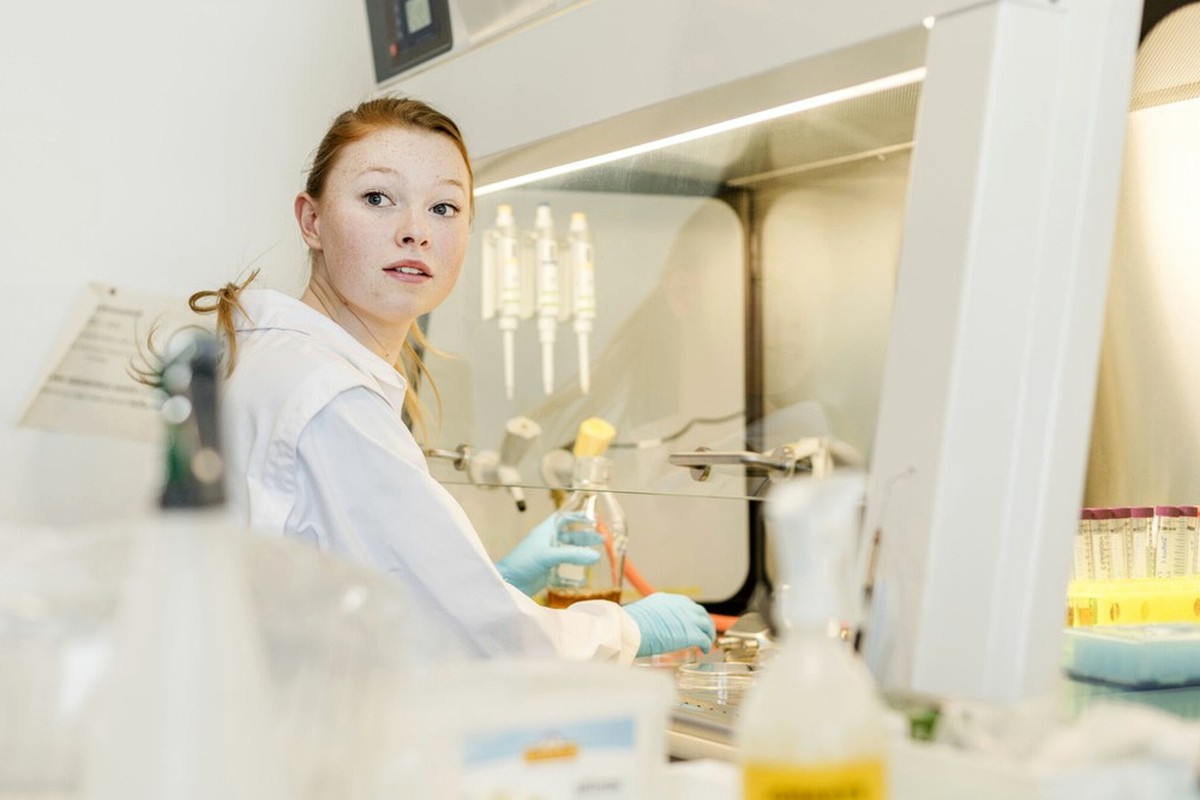 A person working carefully at a bright bench with tools, glassware, and organized equipment.