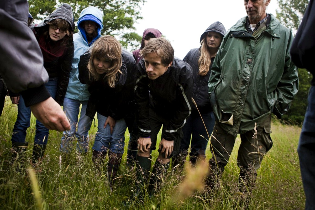 A small group examining plants and grasses during an outdoor learning activity.